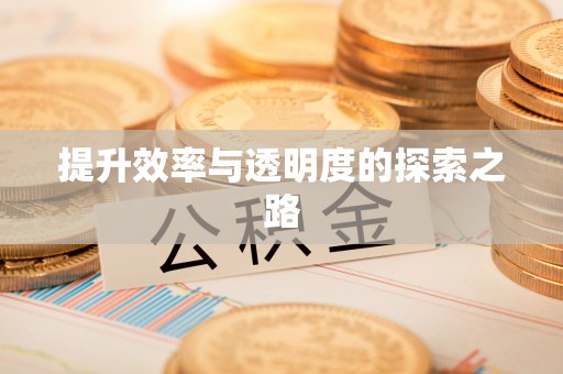 巴中提升效率与透明度的探索之路