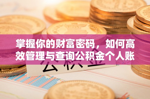 巴中掌握你的财富密码，如何高效管理与查询公积金个人账户信息