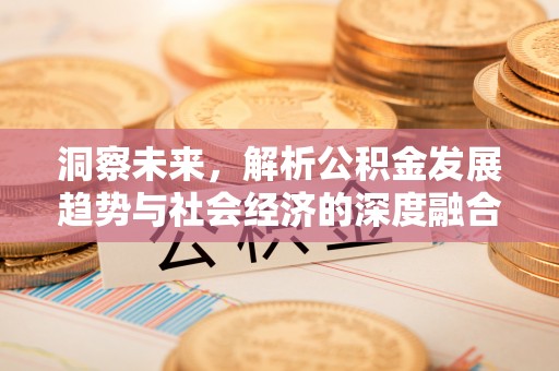 巴中洞察未来，解析公积金发展趋势与社会经济的深度融合