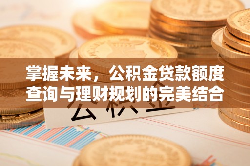 巴中掌握未来，公积金贷款额度查询与理财规划的完美结合