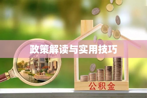 巴中政策解读与实用技巧