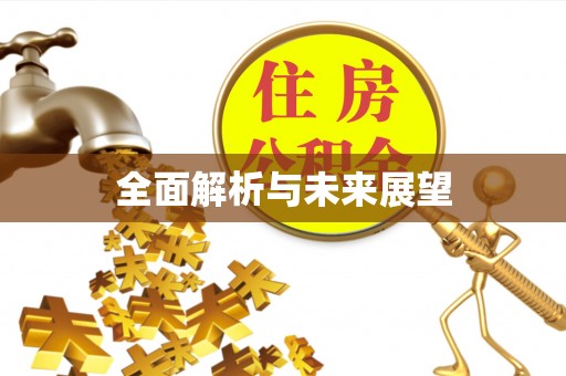 巴中全面解析与未来展望